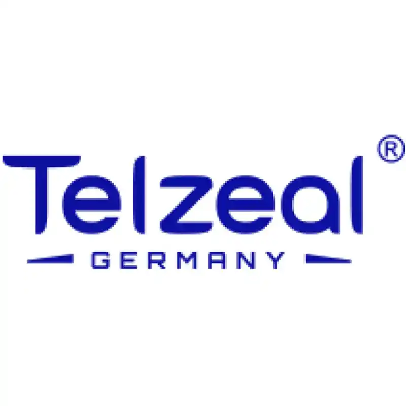 1736267435TELZEAL LOGO.webp